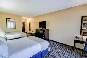 Holiday Inn Arlington Northeast by IHG - Chambre