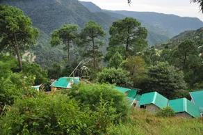 The Cocoon Camps & Nature Resorts - View from room