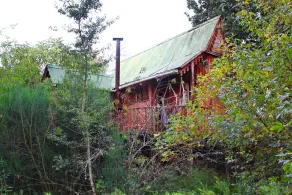 Sycamore Avenue Treehouses & Cottages Accommodation - Zimmer