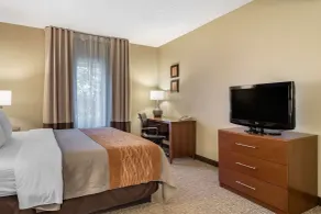 Comfort Inn & Suites Suwanee - Sugarloaf - Chambre