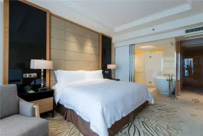 Landison Plaza Hotel Ningbo - Rum