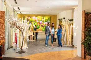 Color Hotel Style, Design & Gourmet - Reception