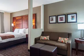 Comfort Suites NW Dallas Near Love Field - Room