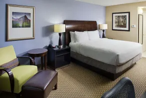 Hilton Garden Inn Raleigh-Durham Airport - Chambre