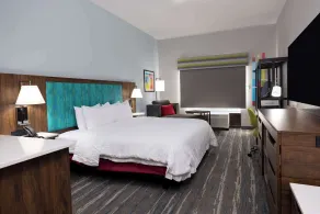Hampton Inn & Suites Alpharetta Roswell - Chambre