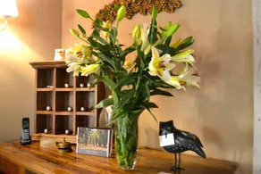 Relais Ciavatta Country Hotel - Réception