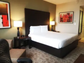 Hilton Garden Inn Tuxtla Gutierrez - Chambre
