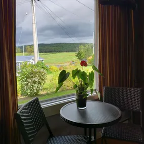 Antigonish Evergreen Inn - Vue de la chambre