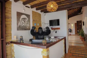 Trip Monkey Origen - Reception