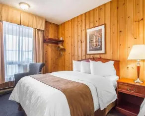 Hotel Danube Bleu - Habitación