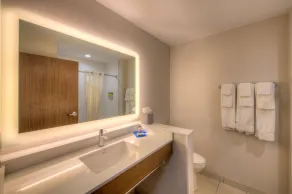 Holiday Inn Express & Suites - Remington by IHG - Badezimmer