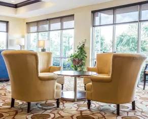 Comfort Suites Rock Hill Manchester Meadows Area - Lobby
