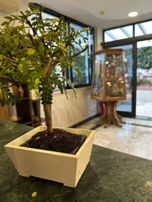 Hotel Clinton - Recepção