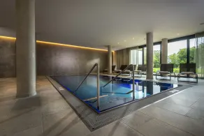 Hotel Melchior Park - Piscine