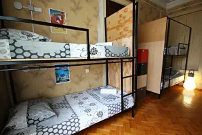 Dingo Backpackers Hostel - Chambre