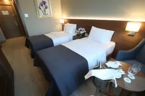 Holiday Inn Bursa - City Centre by IHG - Habitación