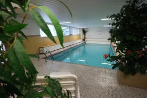 Hotel Dachsberger-Hof - Piscina