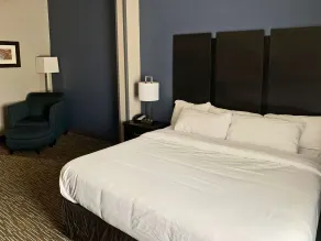 Comfort Inn & Suites Columbus North - Rum