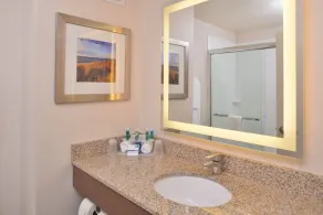 Holiday Inn Express & Suites Dearborn SW - Detroit Area by IHG - Salle de bain