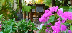 Hotel Villa Mozart y Macondo - Restaurant