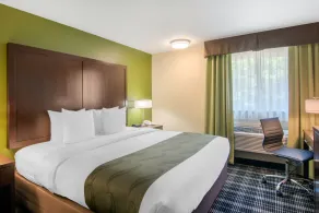 Quality Inn & Suites Albany Corvallis - Chambre