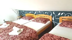 Guesthouse Vladimir & Ana - Room
