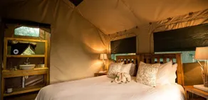 Rukiya Safari Camp - Room