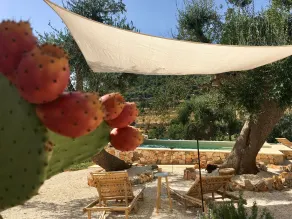Borgo Fiancoafianco - Pool