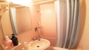 Isahaya Terminal Hotel - Bathroom