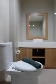Homey Studio Room Tree Park Apartment near BSD City - Bathroom