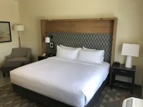 Holiday Inn & Suites Arden - Asheville Airport by IHG - Chambre