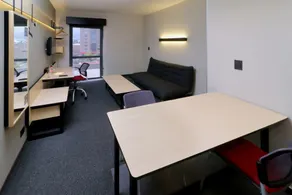 City Express Plus by Marriott Monterrey Nuevo Sur - Room
