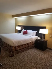Ramada by Wyndham Santee I-95 - Chambre