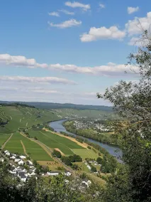 Weingut & Gästehaus Andreas Erz - Miscellaneous