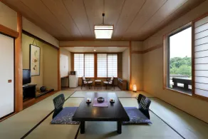 Annex Fujiya Ryokan - Camera