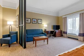 Comfort Suites Savannah North - Rom