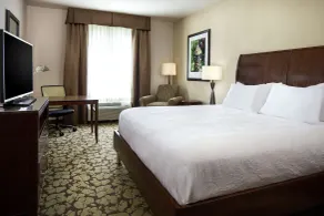 Hilton Garden Inn Bettendorf/ Quad Cities - Chambre
