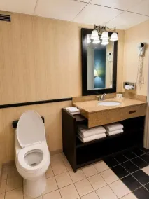 Travel Inn - Watertown NY - Bathroom