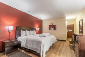 Red Roof Inn PLUS & Suites Houston - IAH Airport SW - Chambre