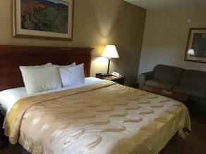 Quality Inn & Suites Hanes Mall - Chambre