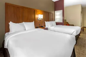 Comfort Suites Clayton - Garner - Chambre