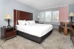 Inn at Seaside - Chambre