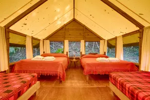 Belize Rainforest Retreat at Chaa Creek - Room