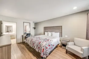 Red Roof Inn Lewisville - Chambre