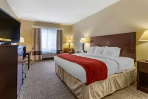 Comfort Inn & Suites North Tucson Marana - Chambre