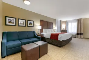 Comfort Inn & Suites Near University of Wyoming - Chambre