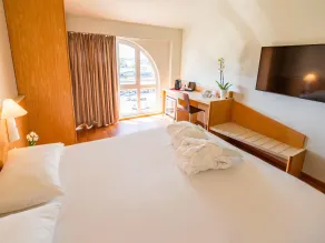 Hotel Ibis Firenze Nord Aeroporto - Chambre