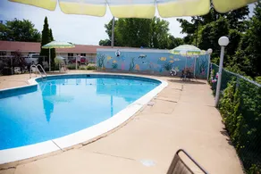 Steelhead Inn - Piscine