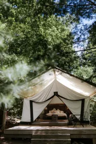 Whispering Springs Wilderness Retreat - Utsikt fra rommet