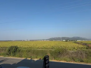 Airport Guest House - Vistas desde la habitación